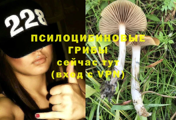 спайс Абаза
