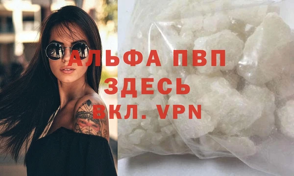 гашик Няндома