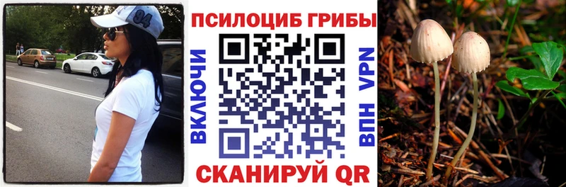 Псилоцибиновые грибы MAGIC MUSHROOMS  Североморск 