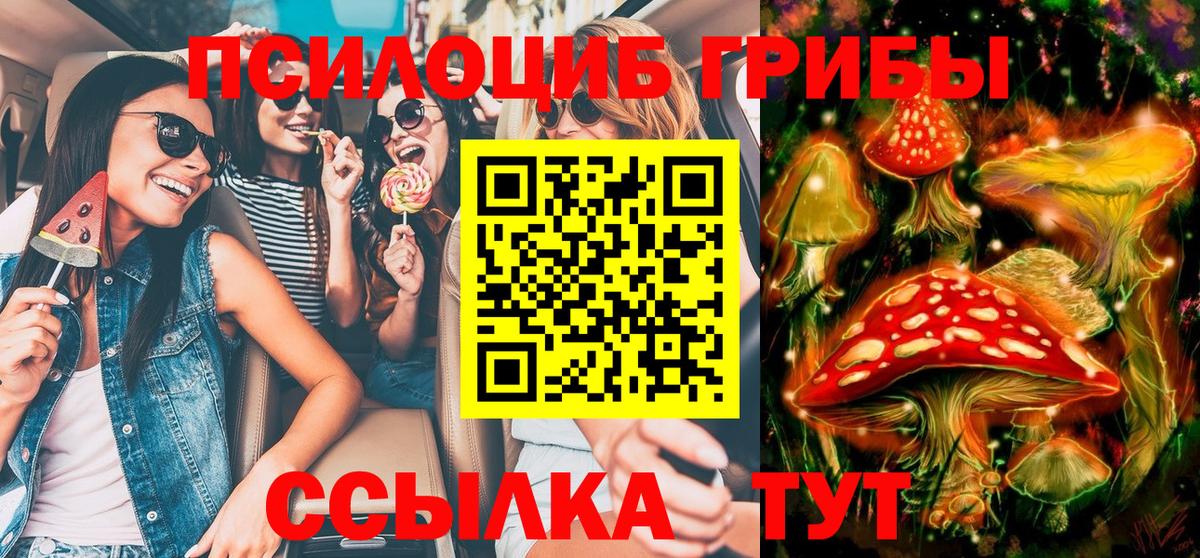 Североморск  Галлюциногенные грибы Cubensis  Вход с VPN 